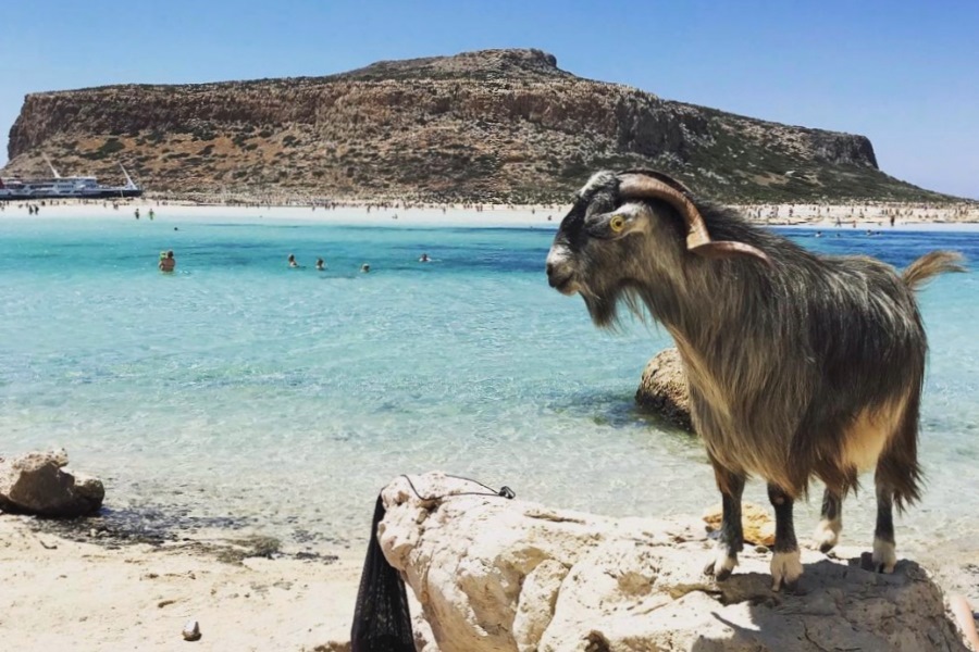 10 plaža na Kritu koje morate posetiti